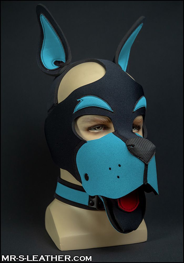 Neo WOOF! Head Harness Aqua