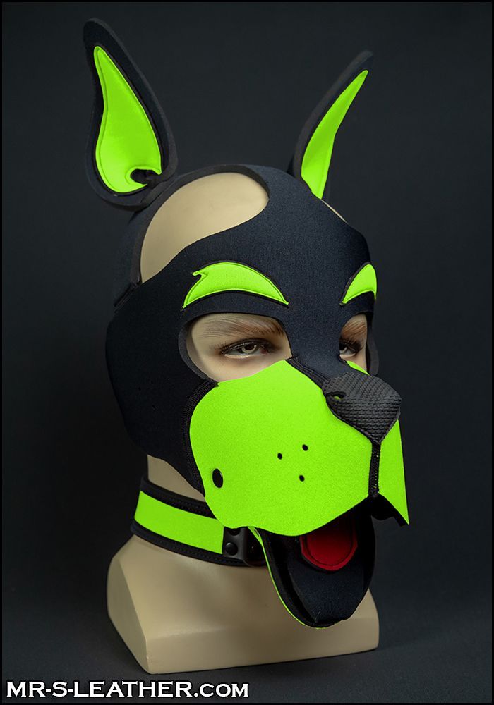 Neo WOOF! Head Harness Lime