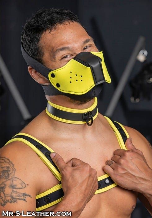 Neo Puppy Face Muzzle Kit - 16 Colors