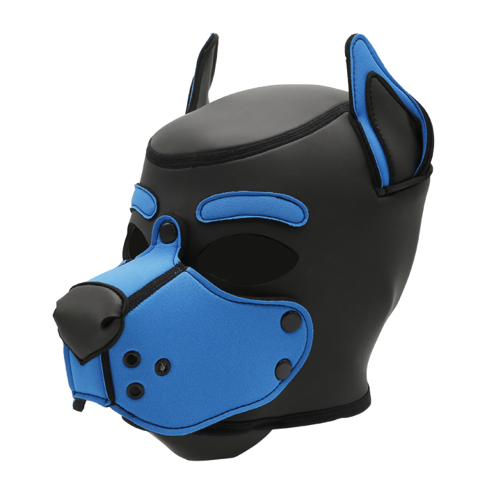 Mr-S Neo K9 Hood: Aqua