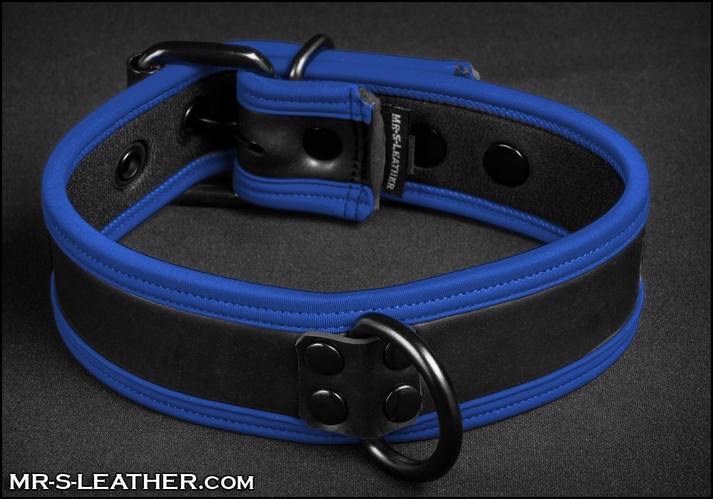 Neo Puppy Collar Blue Piping