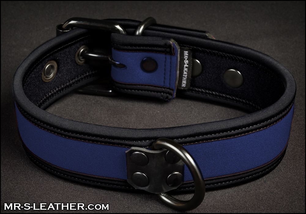 Neo Puppy Collar Royal