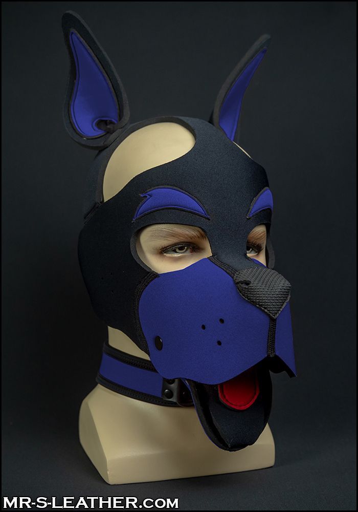 Neo WOOF! Head Harness Royal Blue