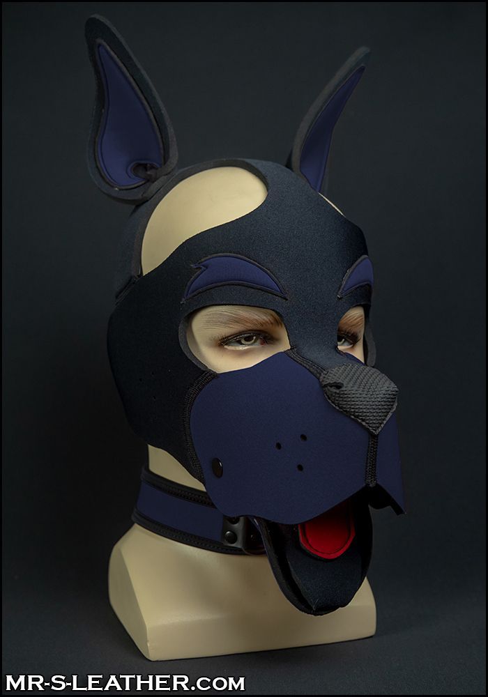 Neo WOOF! Head Harness Navy