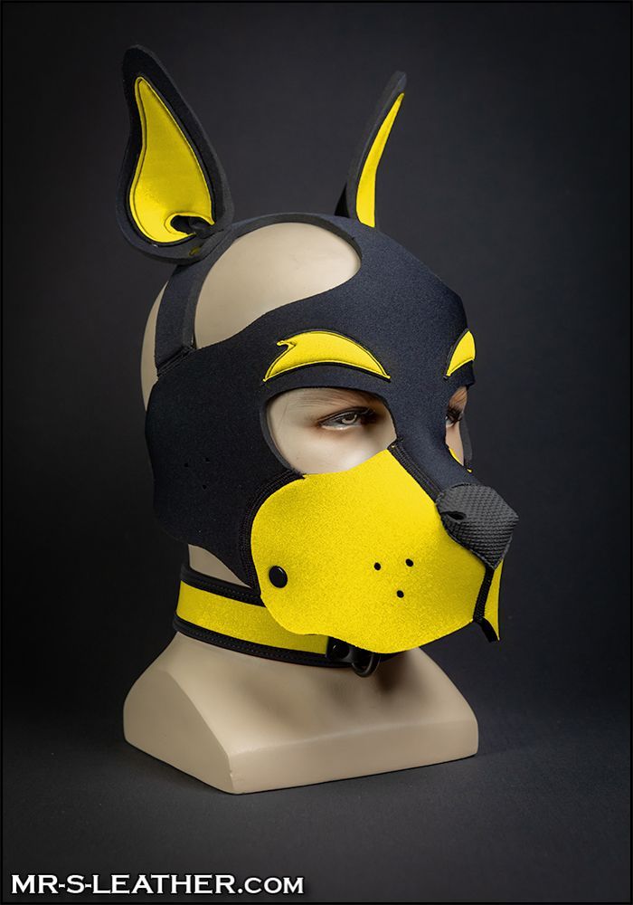 Neo WOOF! Head Harness Yellow