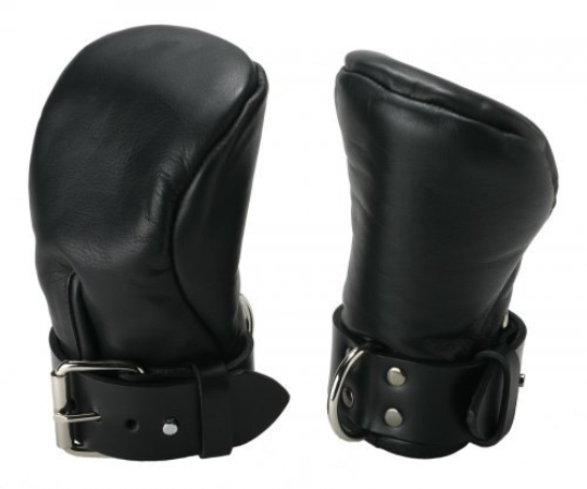 Padded Pup Mitts