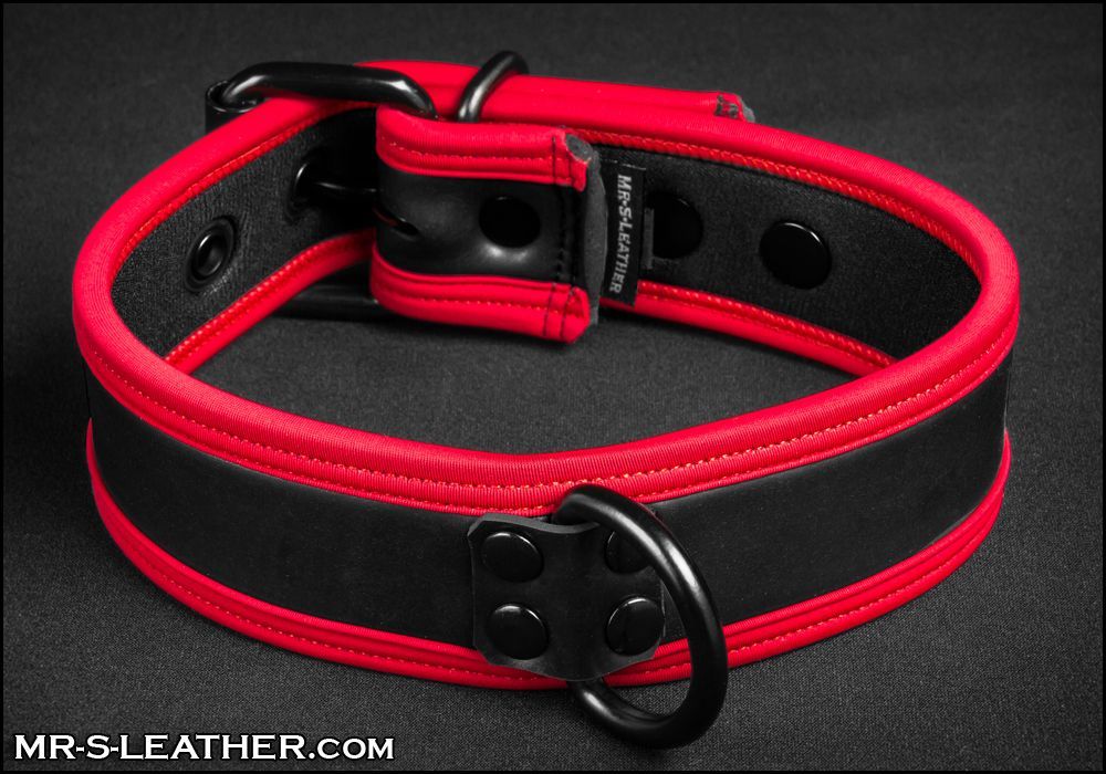 Neo Puppy Collar Red Piping