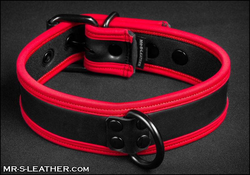 Neo Puppy Collar Red Piping
