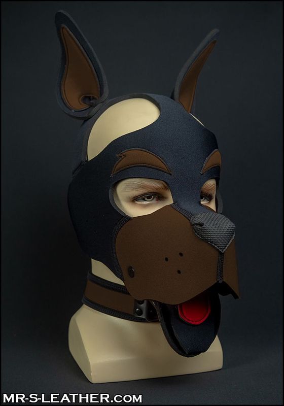 Neo WOOF! Head Harness Brown