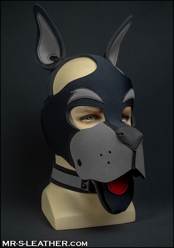 Neo WOOF! Head Harness Grey