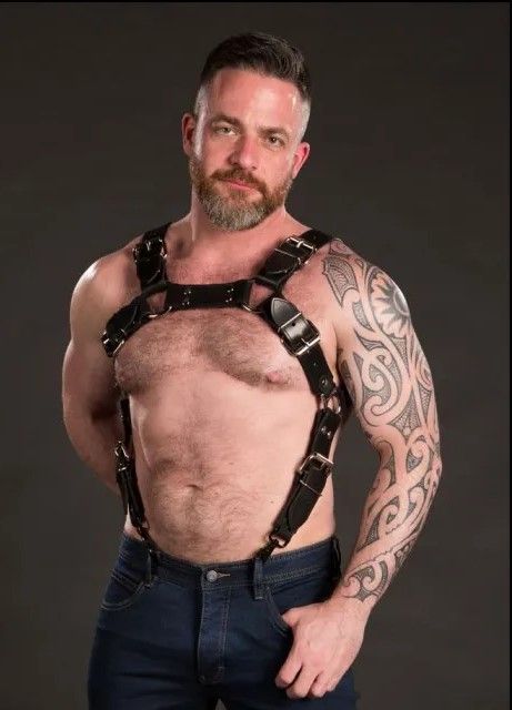 Addikt Leather Iconic Trojan Harness