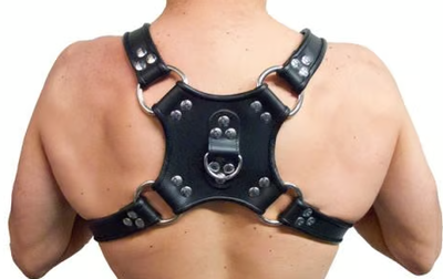 Addikt Leather Iconic Walking Harness