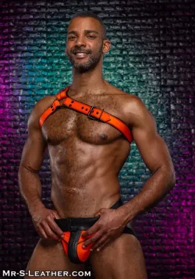 Addikt Leather Iconic Tangle Harness