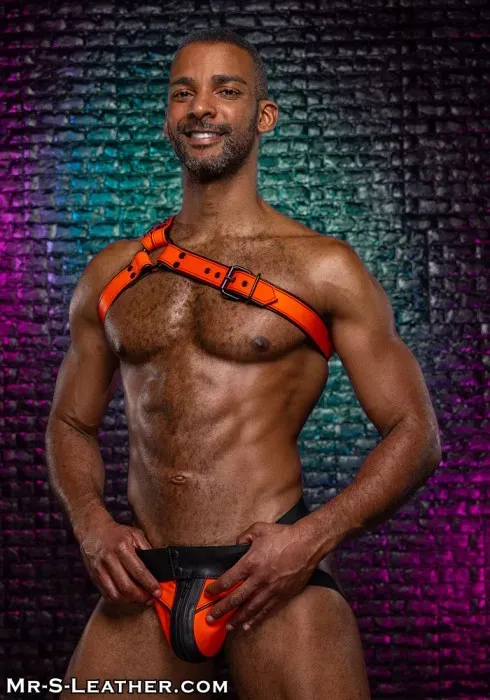 Addikt Leather Iconic Tangle Harness
