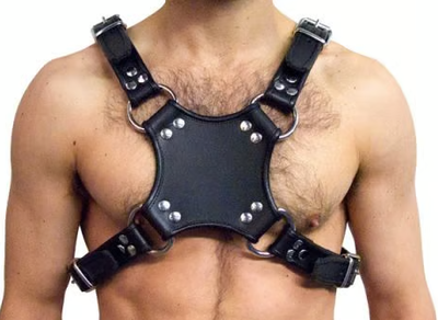 Addikt Leather Iconic Walking Harness