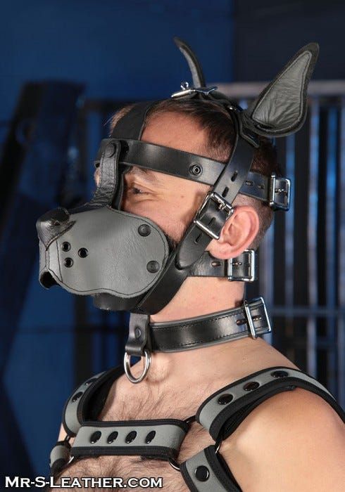 Bondage Dog Muzzle Grey