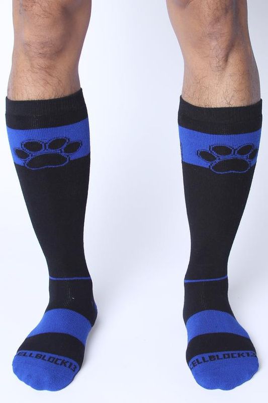 KENNEL CLUB ALPHA KNEE HIGH SOCK Blue