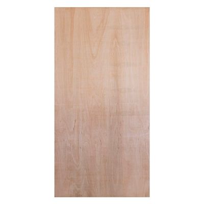 FENOLICO 15MM EUCALIPTO CDX