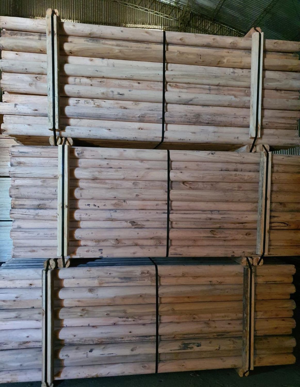 POLINES DE EUCALIPTO