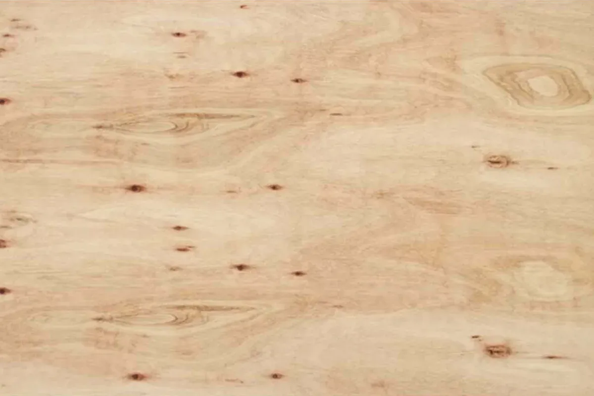 FENOLICO 18 CDX EUCALIPTO