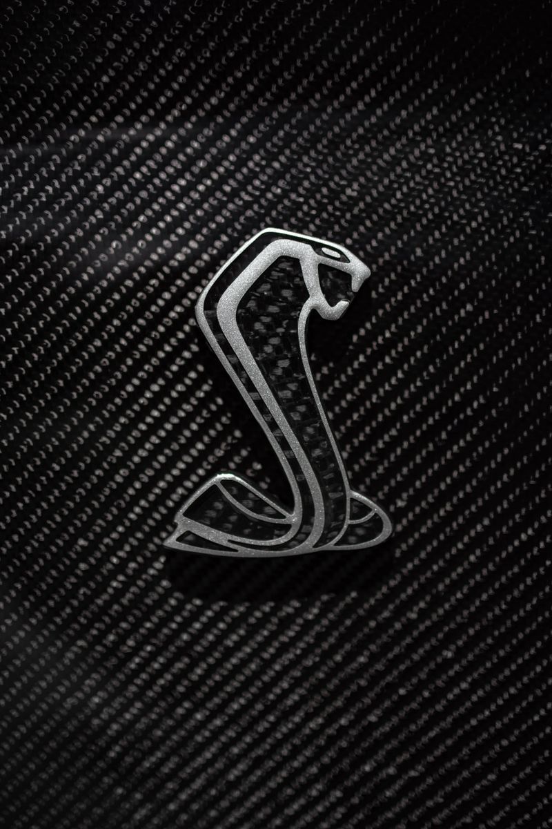 2020 - 2022 Shelby GT500 Carbon Fiber Fender Emblem (Pair)