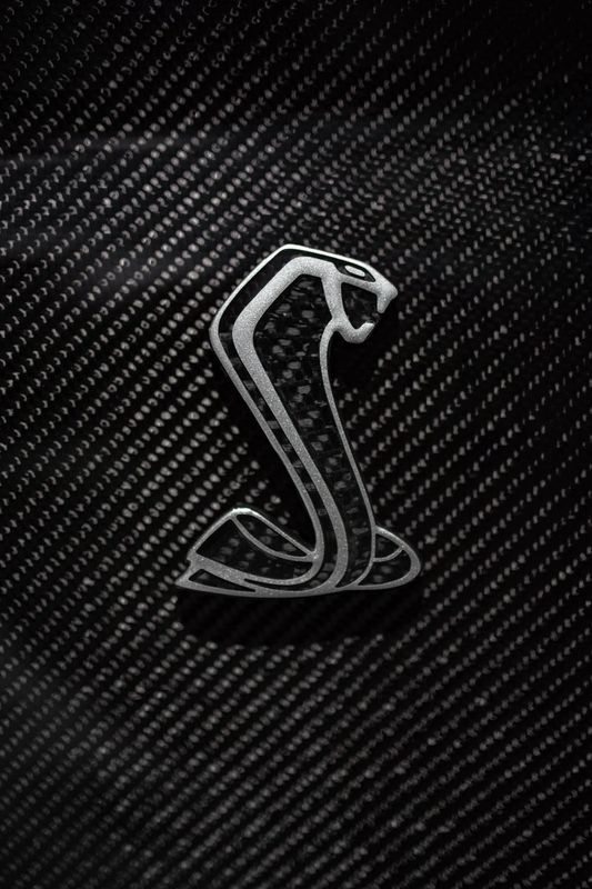2020 - 2022 Shelby GT500 Carbon Fiber Fender Emblem (Pair)