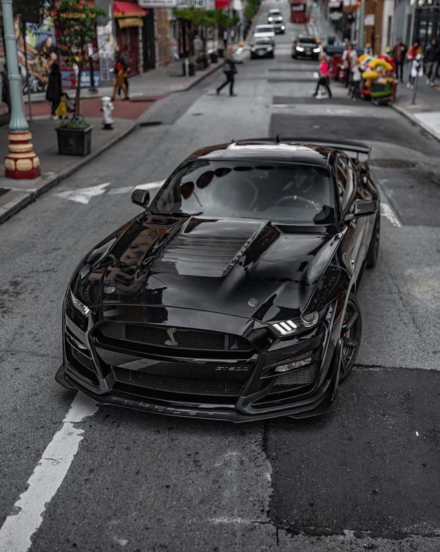 Python Shelby GT500 Carbon Fiber Hood Vent