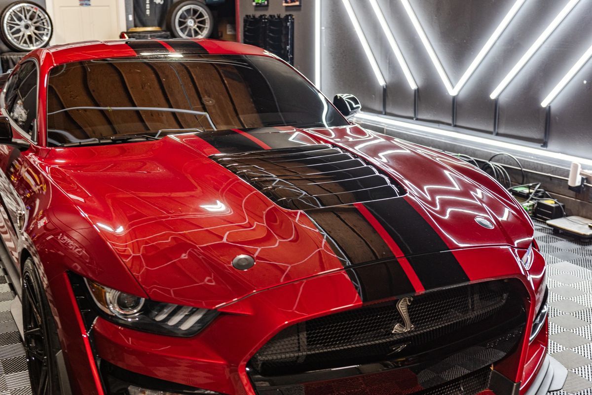 Python GT500 Carbon Fiber Hood Vent - Gloss Black