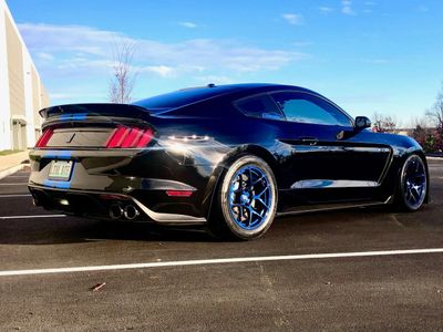 Shelby GT350 Rear Drag Pack