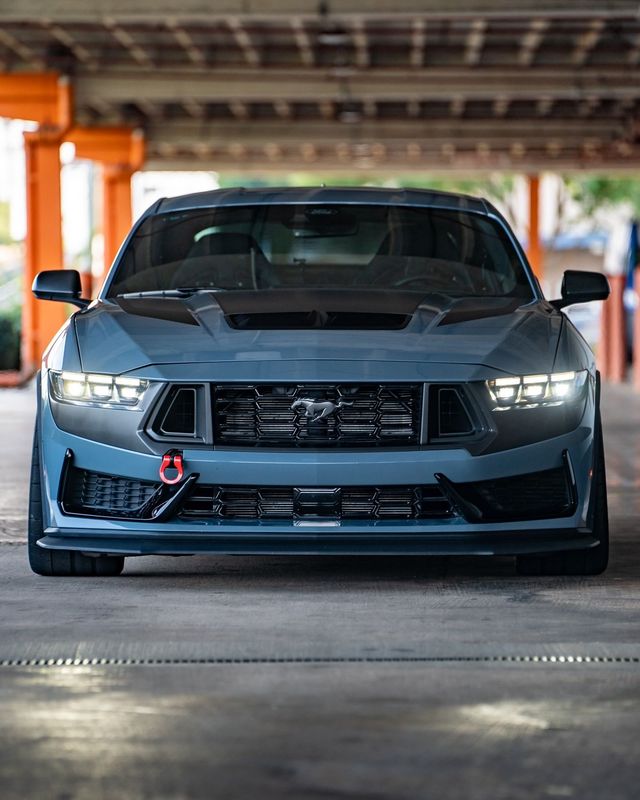 Dark Horse Mustang