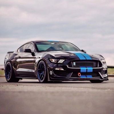 Shelby GT350