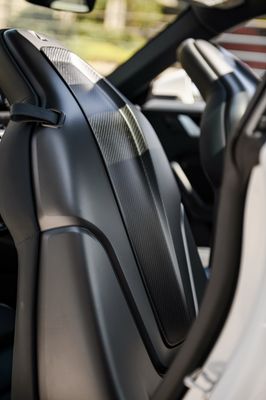 Porsche 992 Carbon Fiber Seat Panel