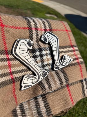 2020 - 2022 Shelby GT500 Carbon Fiber Fender Emblem (Pair) 2020 - 2022 Shelby GT500 Carbon Fiber Fender Emblem (Pair)