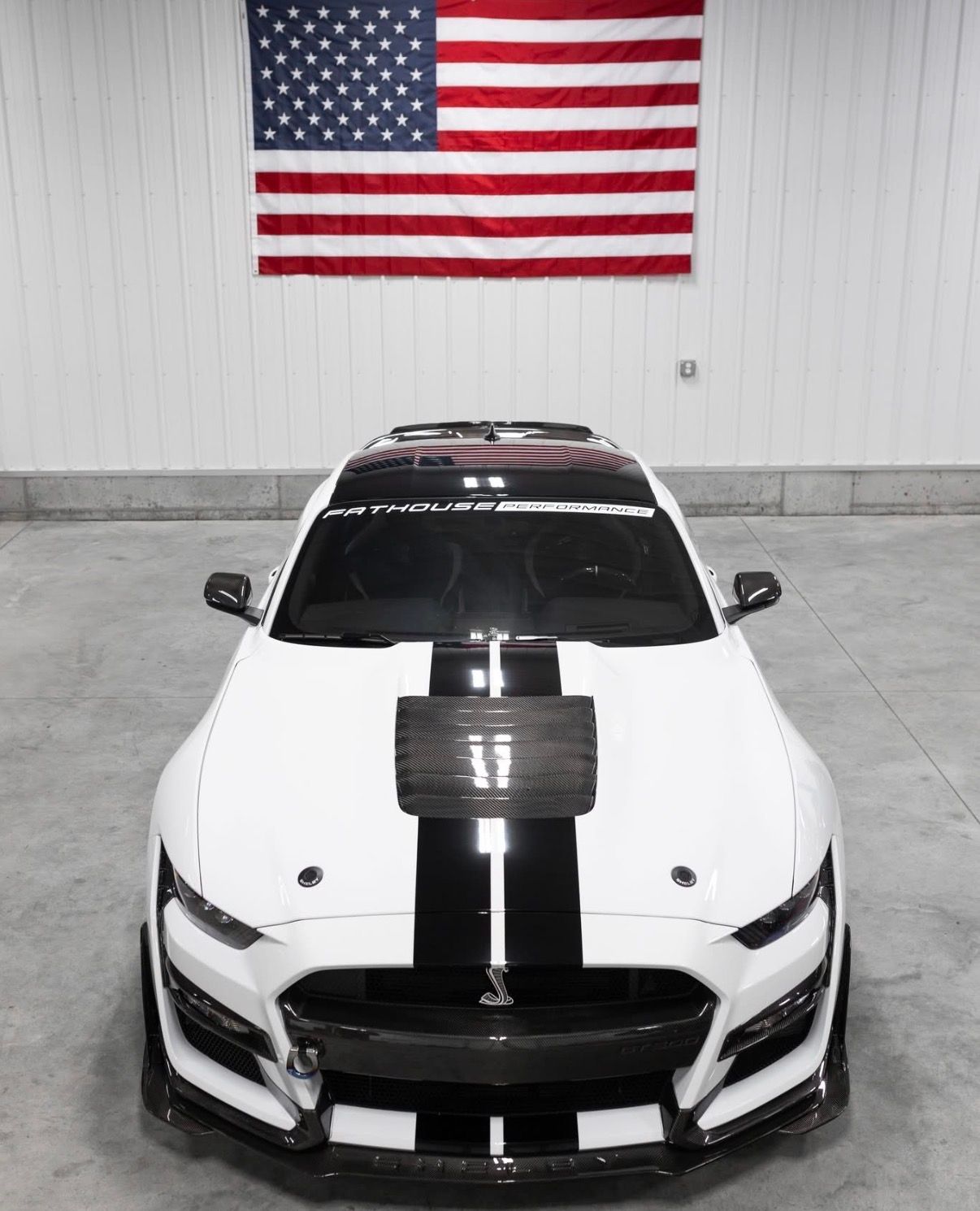 Shelby GT500 Carbon Fiber Python Hood Vent