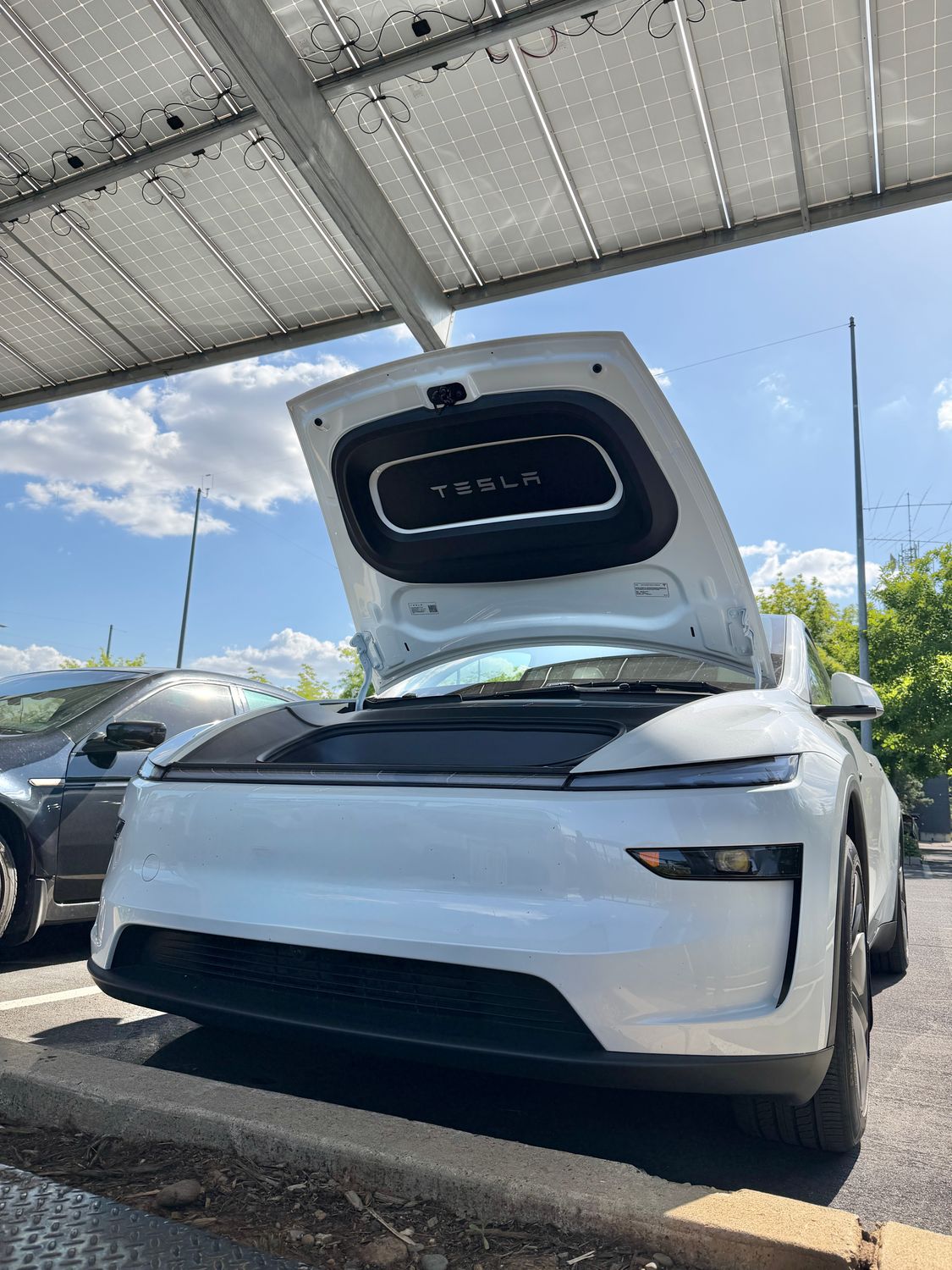 Tesla Model Y Juniper Underside / Frunk Protector