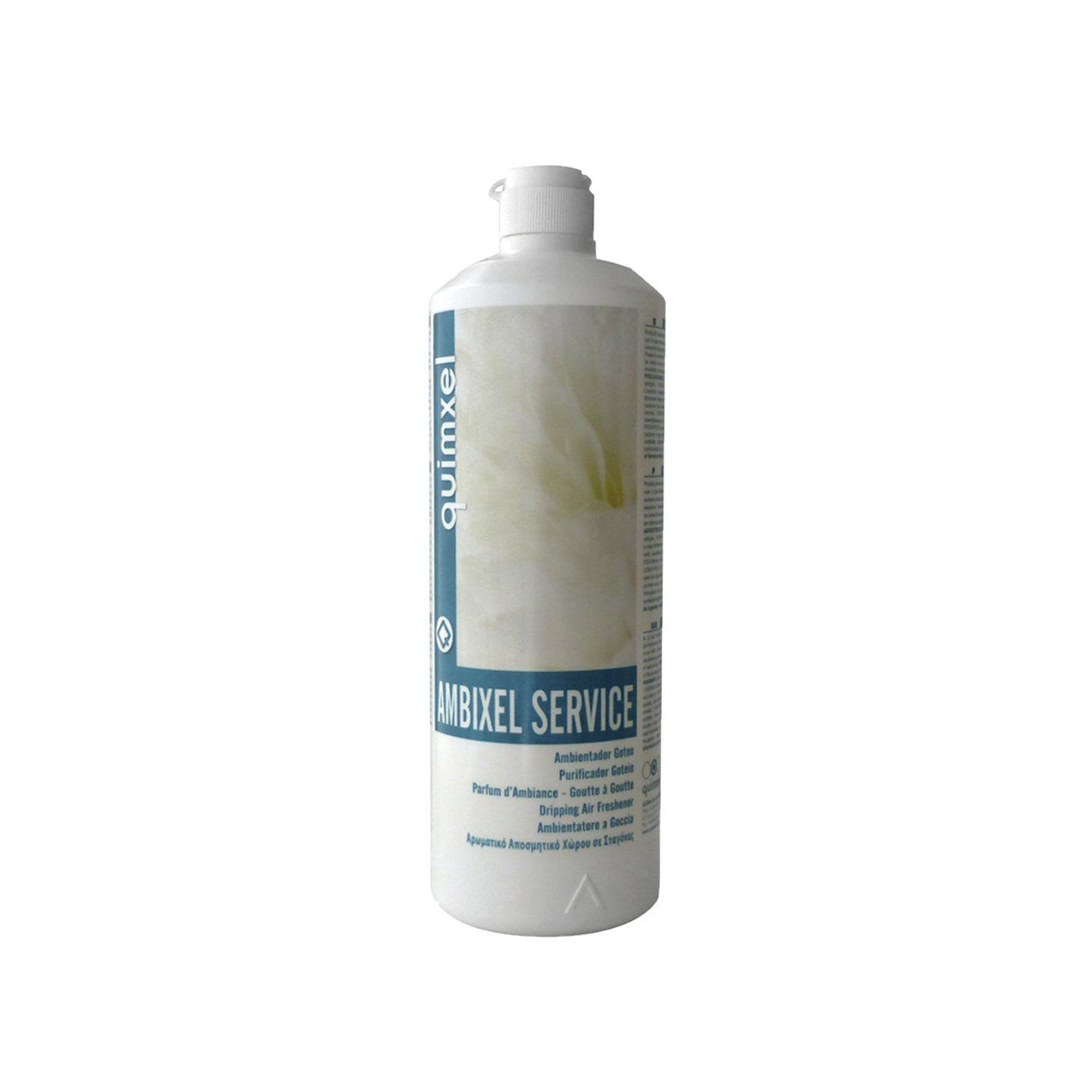 AMBIXEL SERVICES 1L