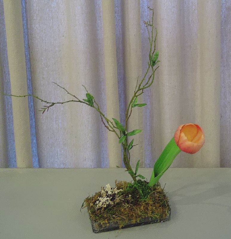 Tulip in crystal Tray