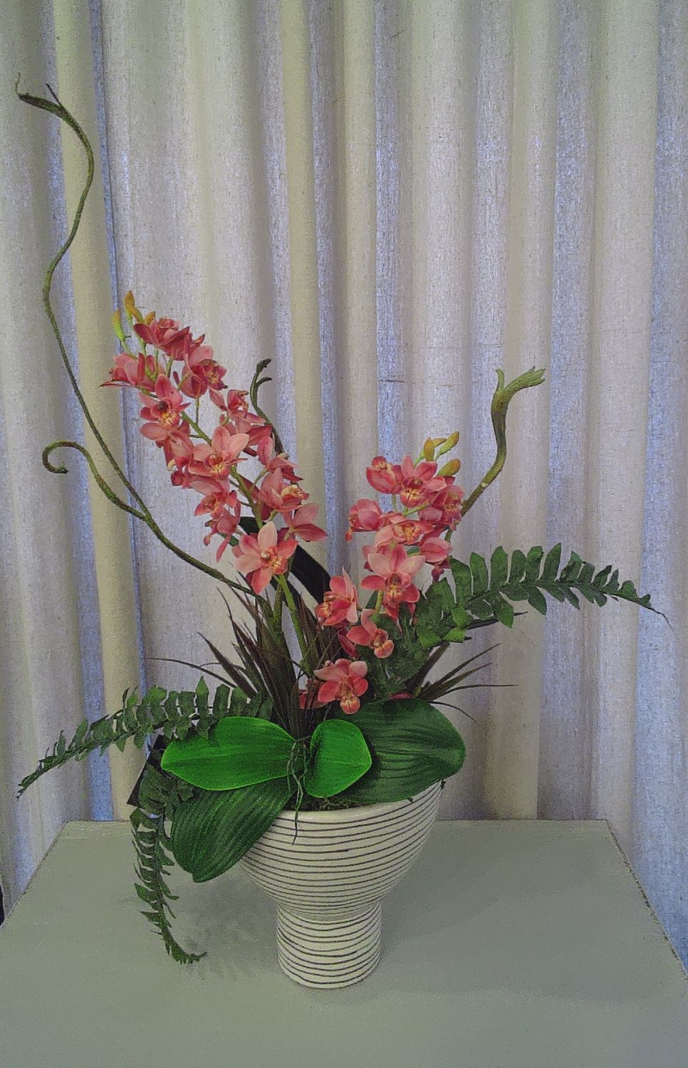 Orchid in striped pot