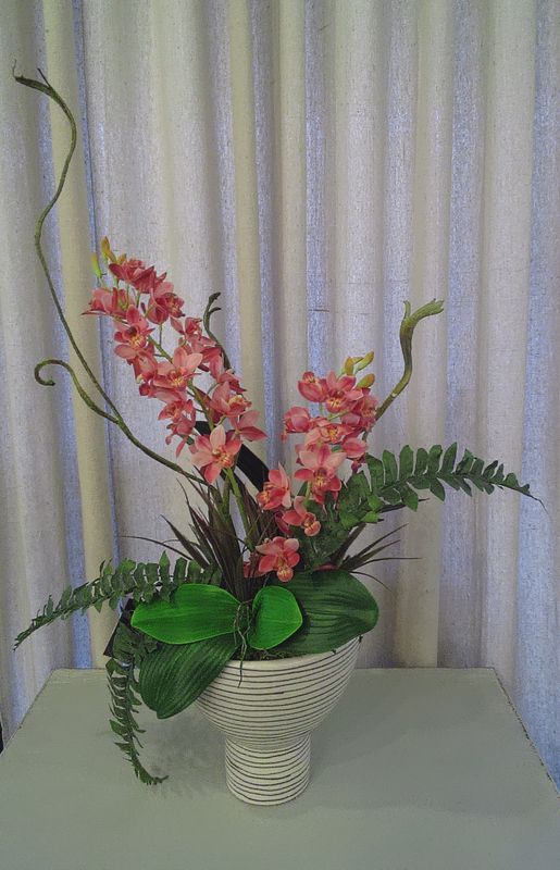 Orchid in striped pot