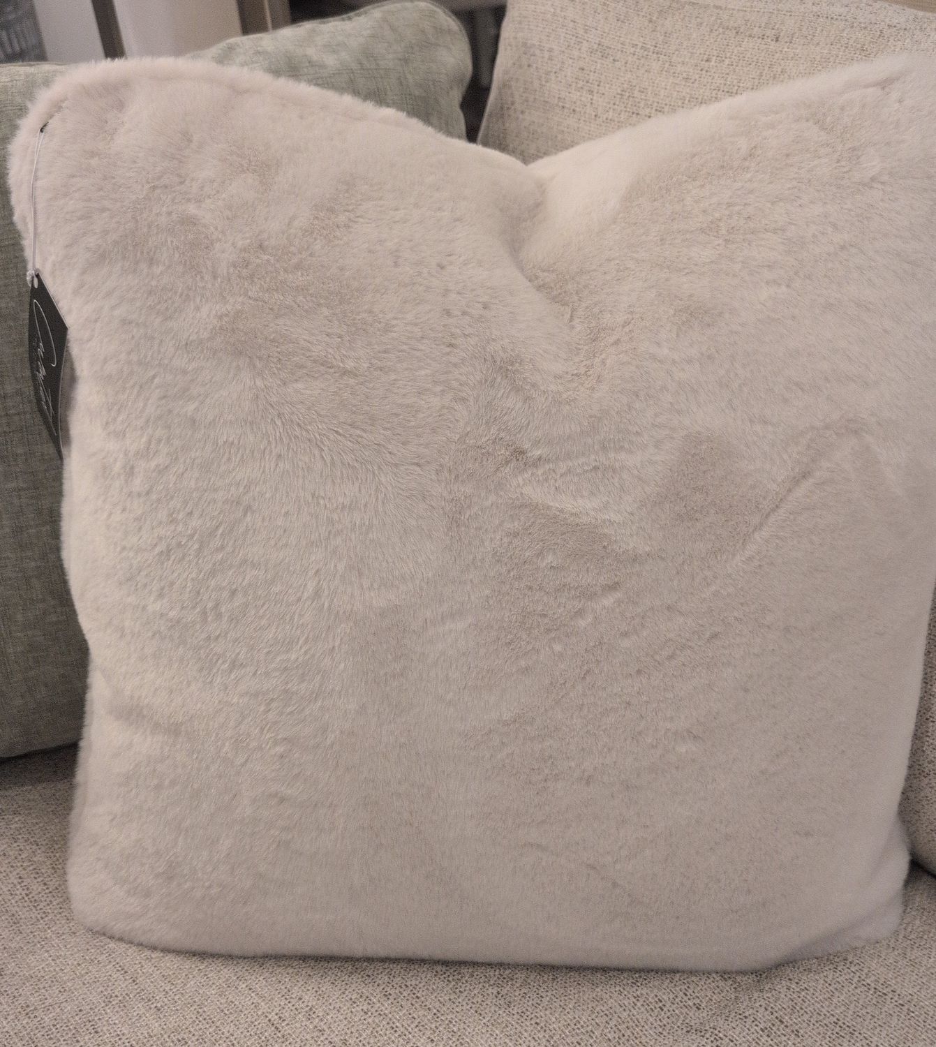 19" x 19" pillow in Badgley 10