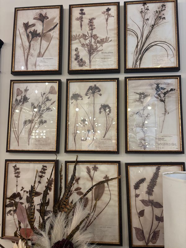 Botany Framed Prints set