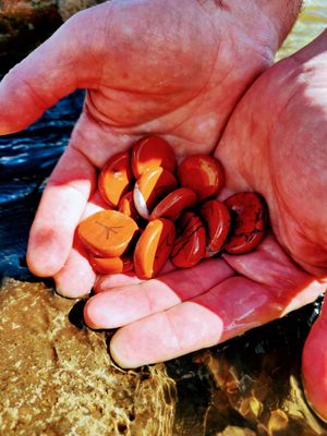 Red Jasper Runestones