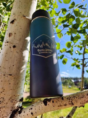 Pagosa Starry Night Water Bottle