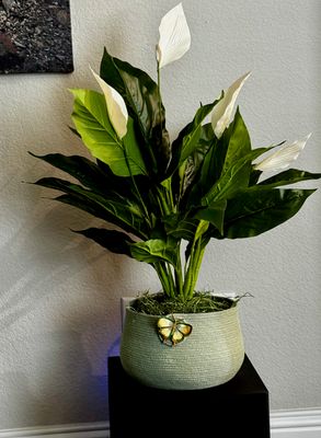 Handmade cotton rope bowl with embellishment — everyday home décor