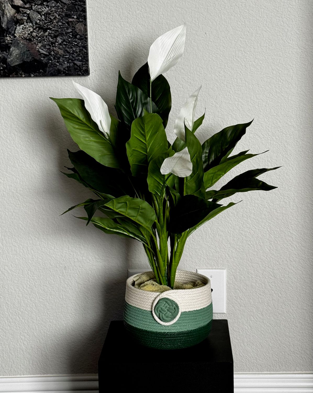 Hand-Painted Rope Planter Bowl – Green Acrylic Painted Decorative Basket for Indoor Plants