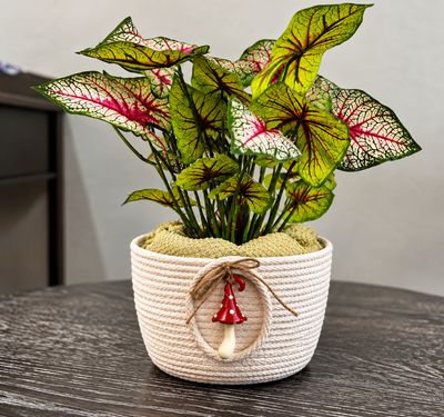 Mushroom Rope Planter Bowl – Cottagecore Décor