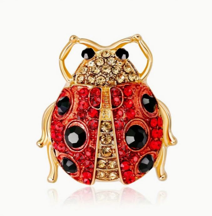 BROOCH Ladybug