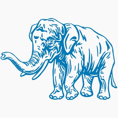 Endangered Animals