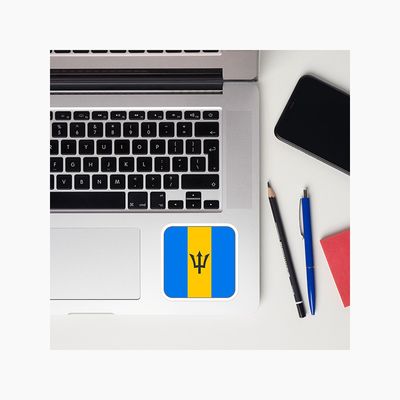 Vinyl Stickers