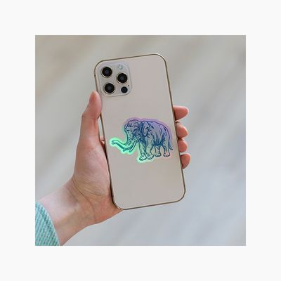 Holographic Stickers